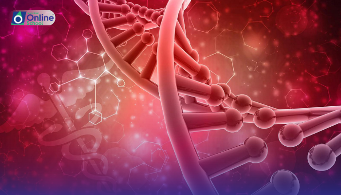 Lesson 16: Endocrine System and Hormones